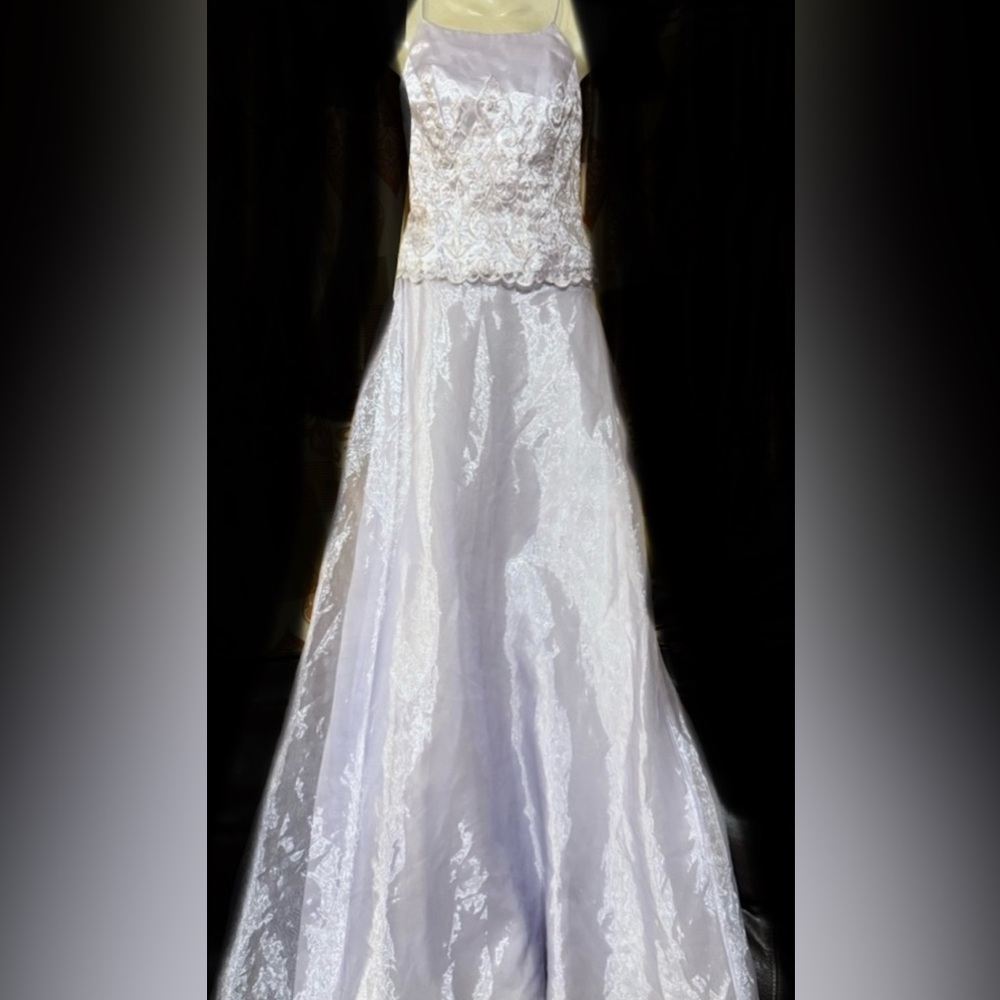 Michaelangelo Vintage Silver/Lilac Two Piece formal Corset top and Maxi Skirt